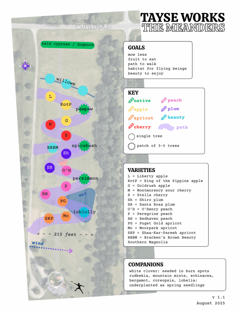 detailed planting plan of fruit forest