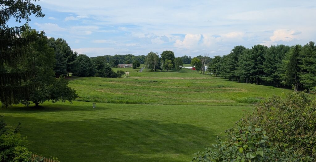 green lawn on a sunny day with a thin meadering path mowed