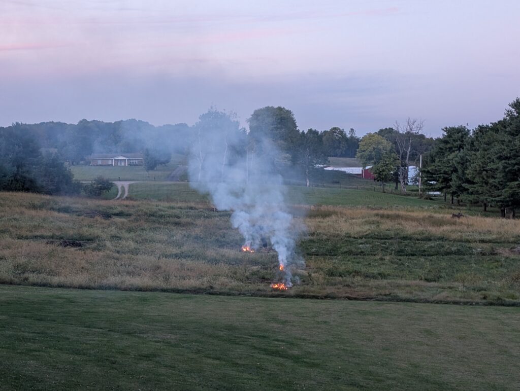 small fires burn in a prairie